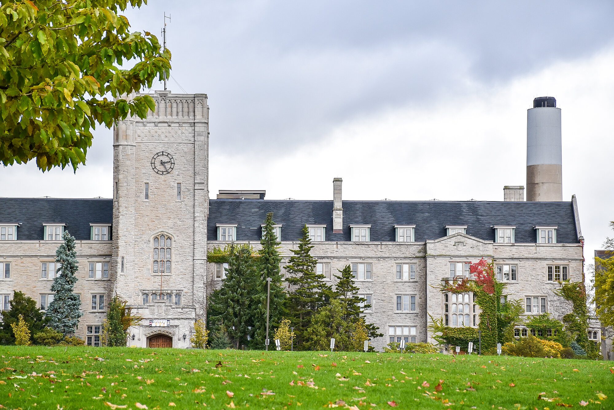 times higher education ranking guelph